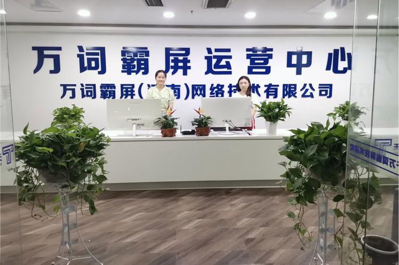 软件定制开发，在数字化时代引领企业创新